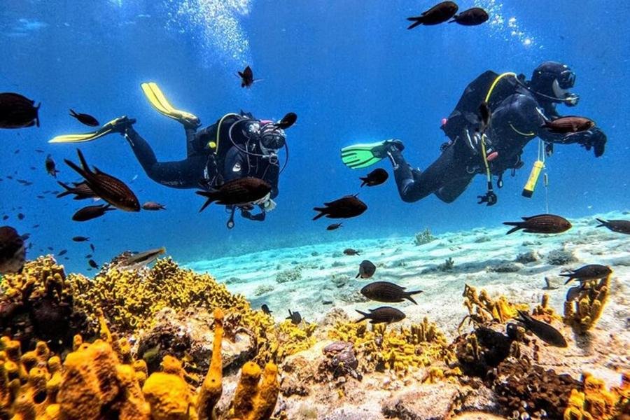 underwater scuba diving in the crystal clear waters of Flogita