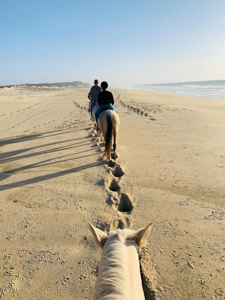 Horseback riding experience in Halkidiki Greece