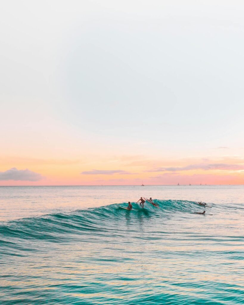 people surfing at sunset